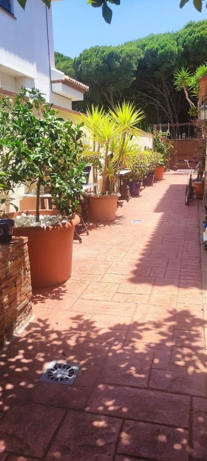 Chalet Con Capacidad Para 8 Personas 치클라나 데 라 프론테라 외부 사진